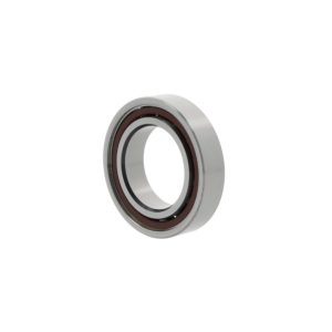 رولمان بلى  BEARING 7313-BEGAM STEYR GERMANY